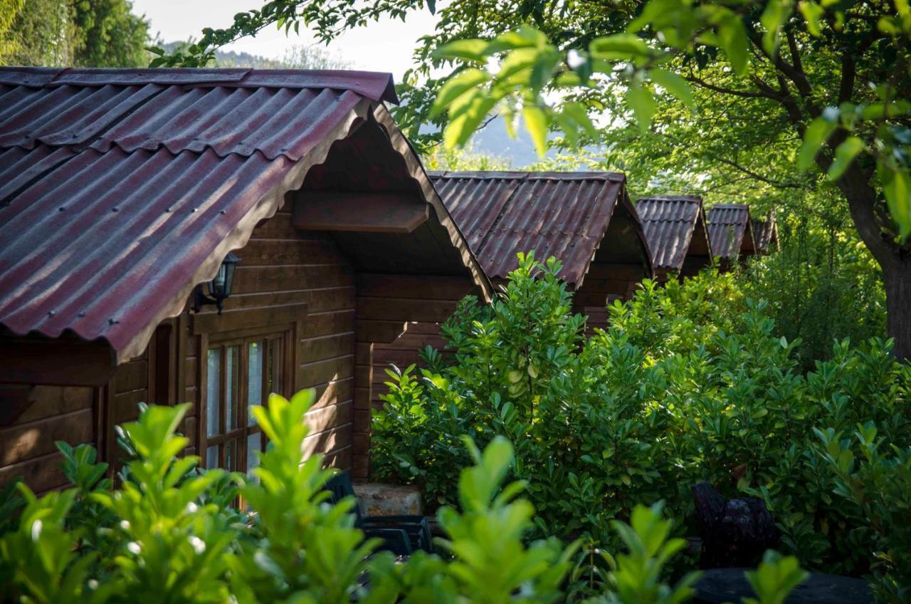 Fuente Del Lobo Glamping & Bungalows - Adults Only Pinos Genil Exterior foto