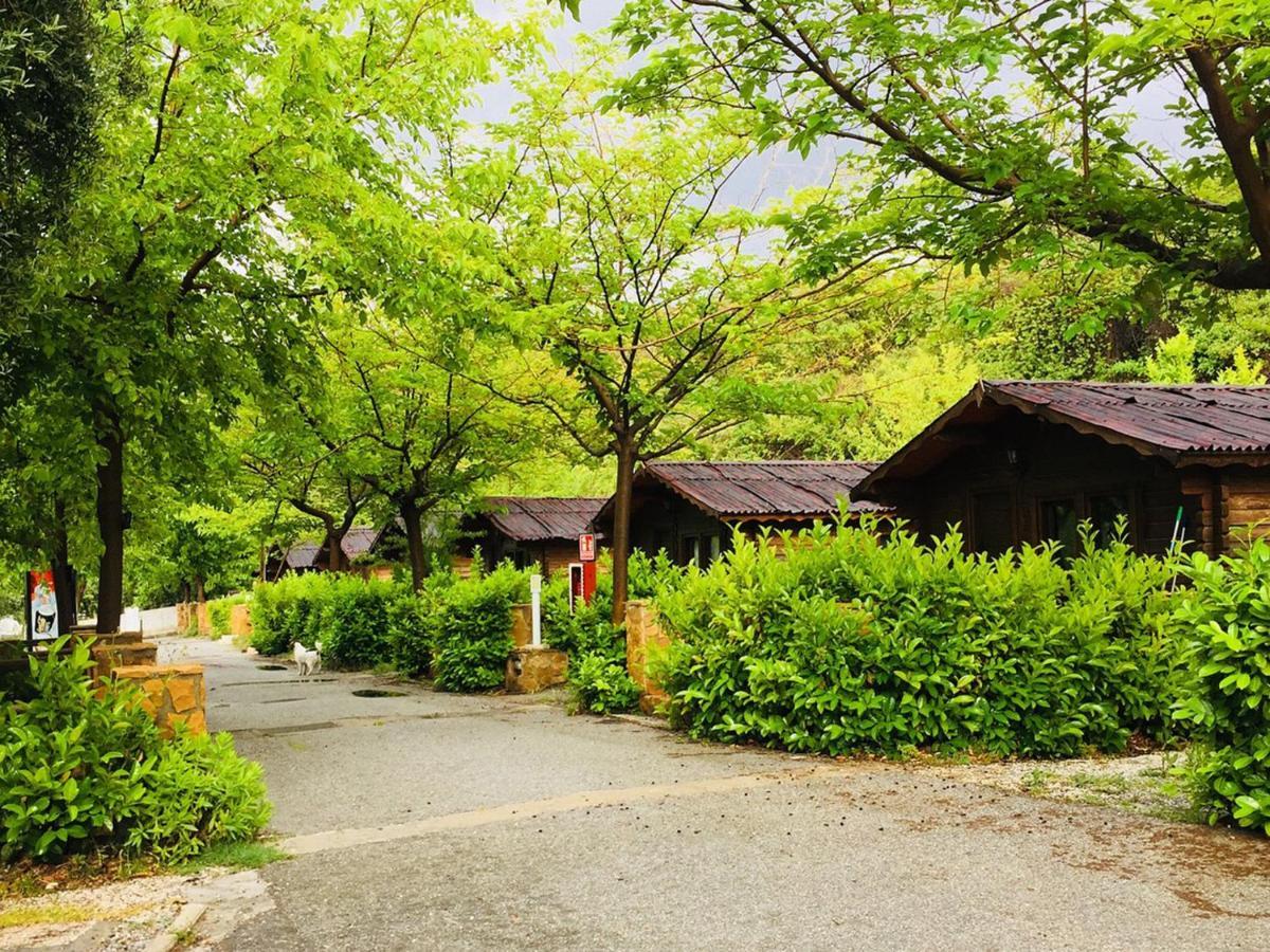 Fuente Del Lobo Glamping & Bungalows - Adults Only Pinos Genil Exterior foto