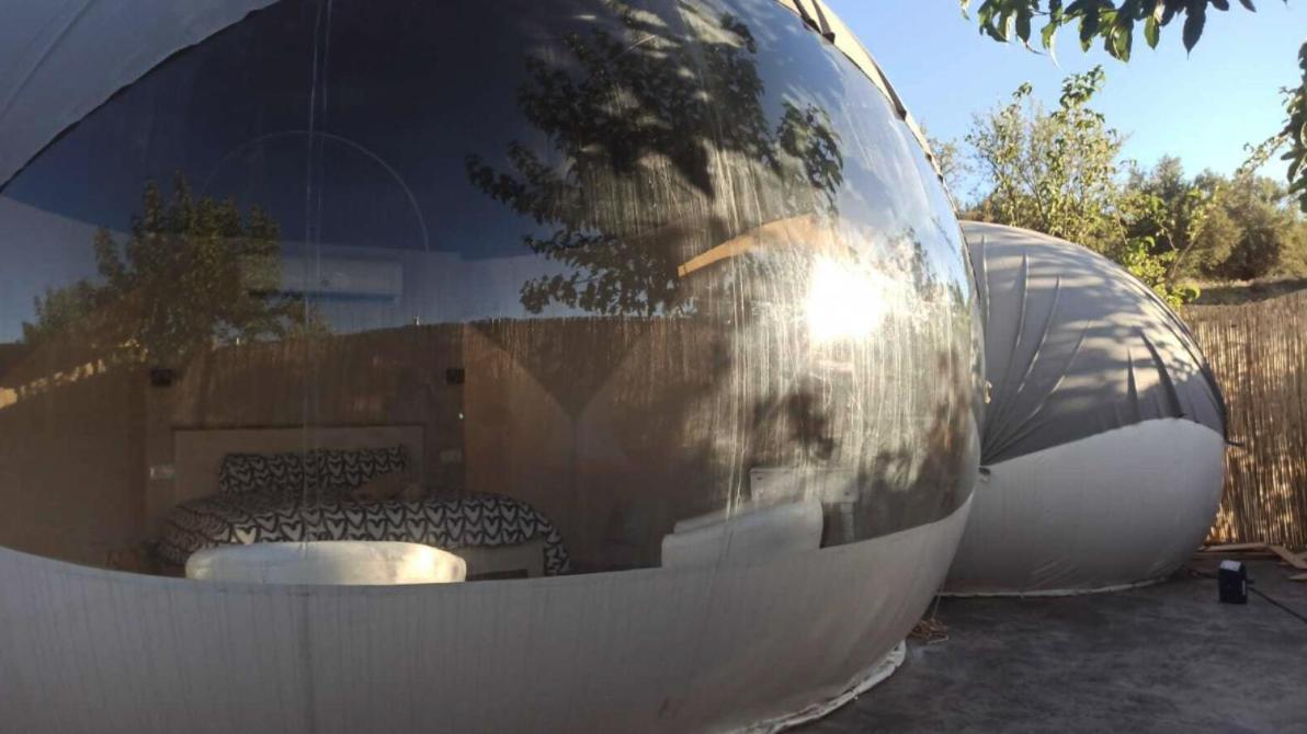 Fuente Del Lobo Glamping & Bungalows - Adults Only Pinos Genil Exterior foto